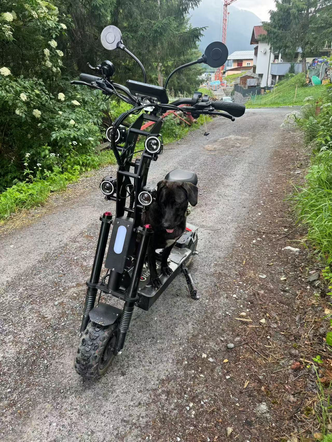 Electric Scooter for Adults: Is It Worth It in 2026?